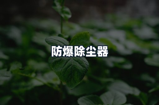 防爆除尘器